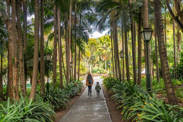 A woman and a child walk down a path in a forest. The path is lined with palm trees and the woman is carrying a backpack. Scene is peaceful and serene, as the woman