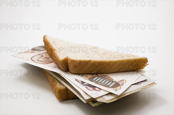 Close-up of whole wheat bread half sandwich stuffed with foreign paper currency bank notes on white background, Studio Composition, Quebec, Canada, North America