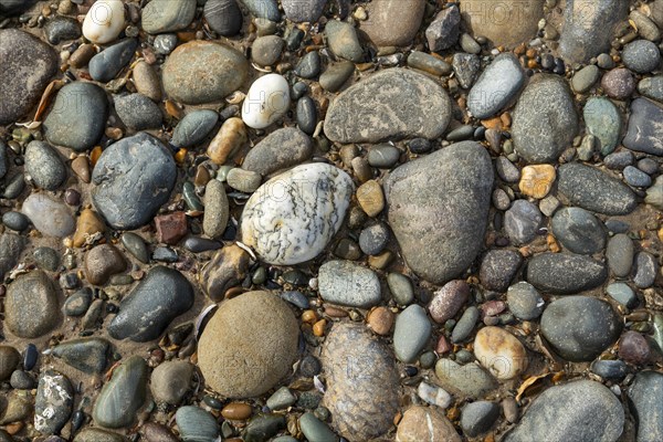 Stones, beach, LLanddwyn Bay, Newborough, Isle of Anglesey, Wales, Great Britain