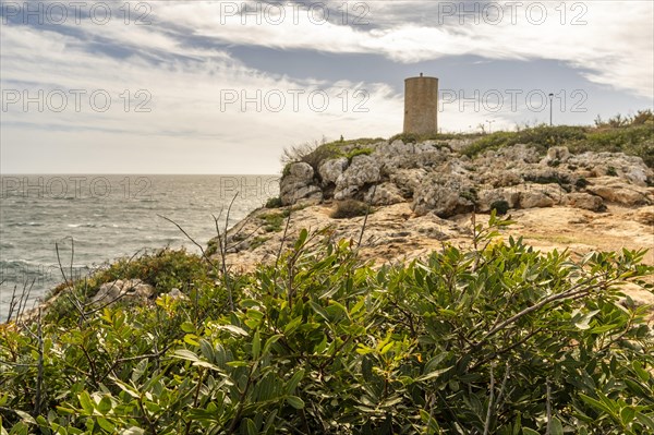 Photo of the Torre del Serral dels Falcons, Mallorca, Spain, Europe