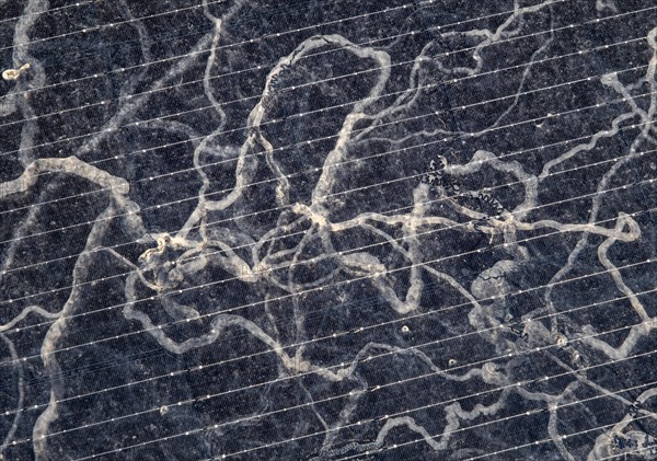 Sahara dust on a solar module, solar panel, a balcony system on a green roof, Braunschweig, Lower Saxony, Germany, Europe