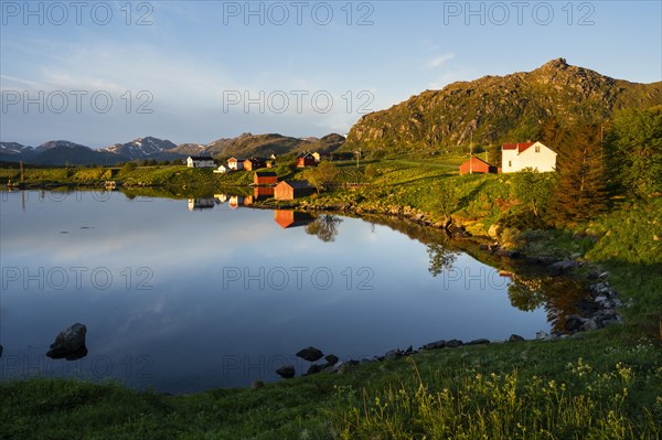 Landscape on the Lofoten Islands near Eggum. Houses on a fjord. At night at the time of the midnight sun in good weather, blue sky. Golden hour. Reflection. Early summer. Vestvagoya, Lofoten, Norway, Europe