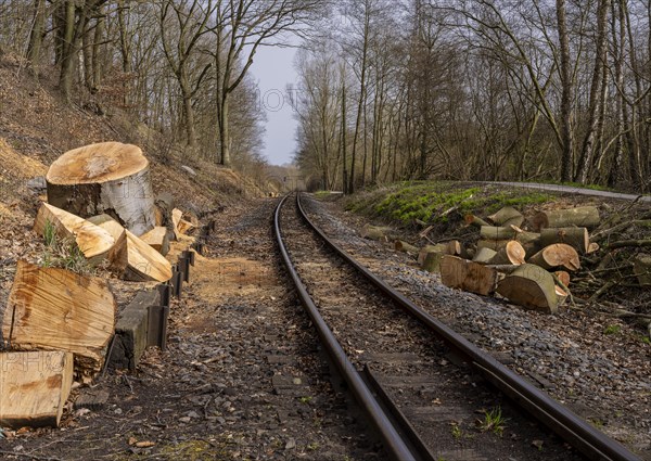 Narrow-gauge railway bed of the Raging Roland, Ruegen, Mecklenburg-Western Pomerania, Germany, Europe