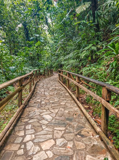 Jardin Botaniqu de Deshaies, botanical garden with flora and fauna in Guadeloupe, Caribbean, French Antilles