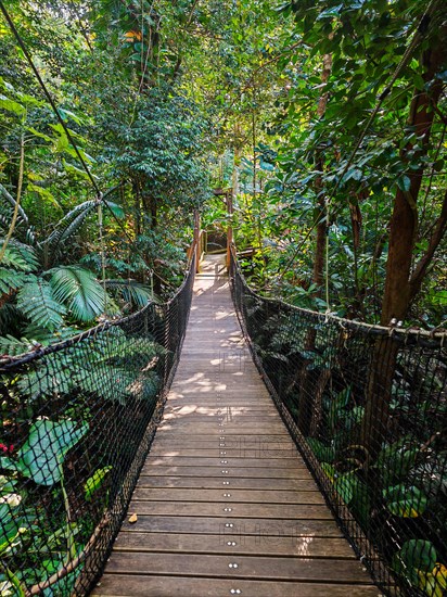 Jardin Botaniqu de Deshaies, botanical garden with flora and fauna in Guadeloupe, Caribbean, French Antilles