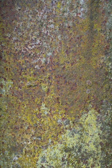 Rusty metal surface as background, vintage, North Rhine-Westphalia, Germany, Europe