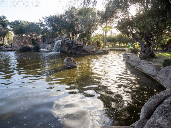 Waterfall and small pond, Fausto Noce Park, Olbia, Sardinia, Italy, Europe