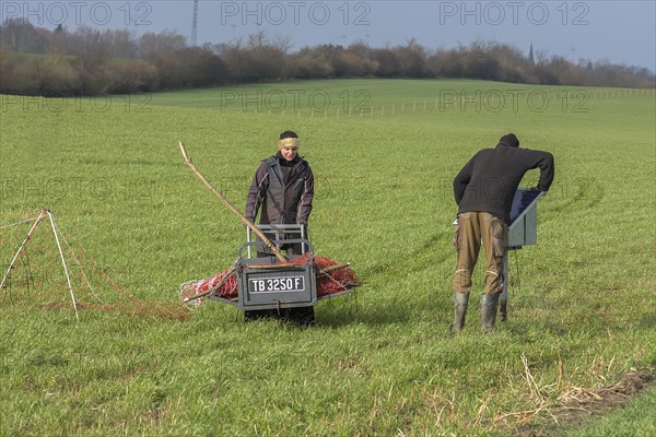 Shepherd and his daughter fence a new pasture with a solar panel for the electric fence, Mecklenburg-Western Pomerania, Germany, Europe