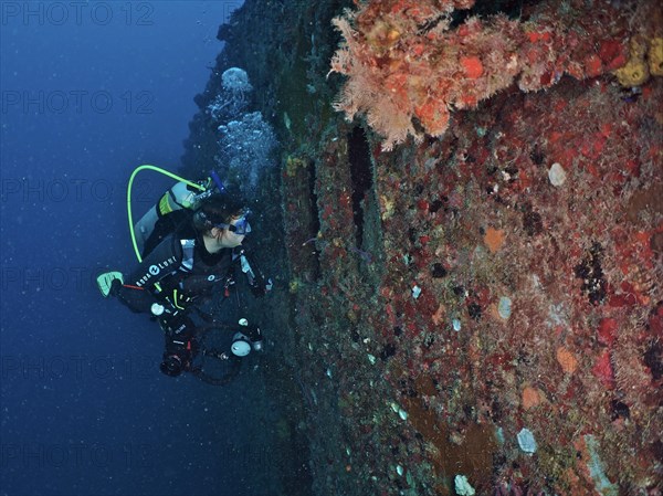 Diver looking into the porthole of the wreck of the USS Spiegel Grove, dive site John Pennekamp Coral Reef State Park, Key Largo, Florida Keys, Florida, USA, North America
