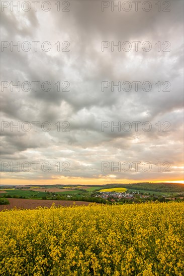 Landscape at sunrise. Beautiful morning landscape with fresh yellow rape fields in spring. Small castle in the yellow fields on a hill. Historic Ronneburg Castle in the middle of nature, Ronneburg, Hesse, Germany, Europe