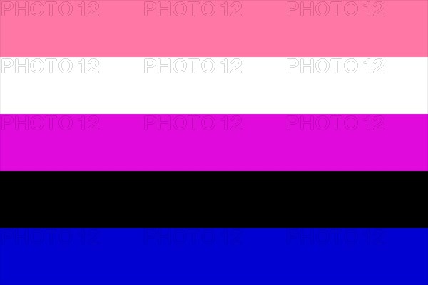 Illustration of the Genderfluid Pride Flag. Symbol of sexual minorities