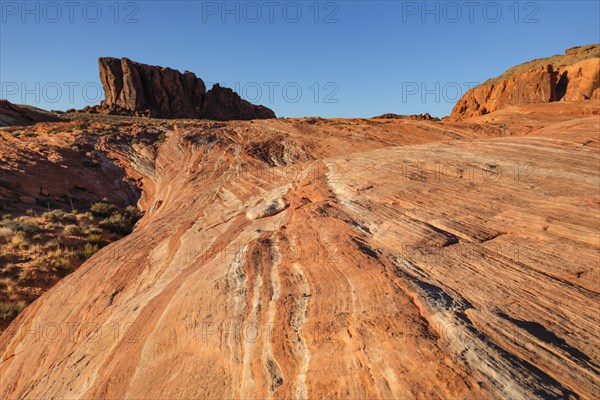 White Domes, Valley of Fire State Park, Nevada, United States, USA, Valley of Fire, Nevada, USA, North America