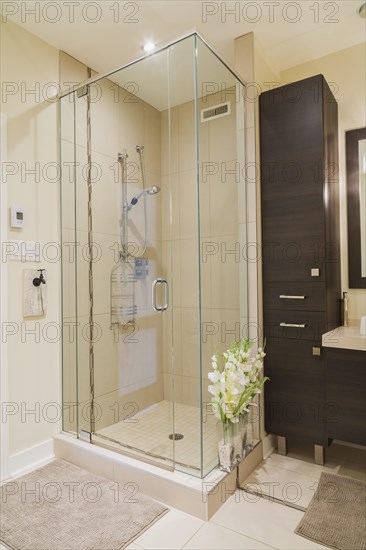 Contemporary brown laminated wood vanity and clear glass shower stall in bathroom inside a renovated ground floor apartment in an old residential cottage style home, Quebec, Canada. This image is property released. CUPR0311