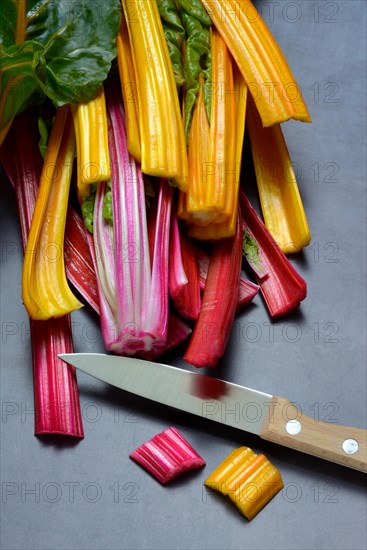 Red and yellow chard, Beta vulgaris