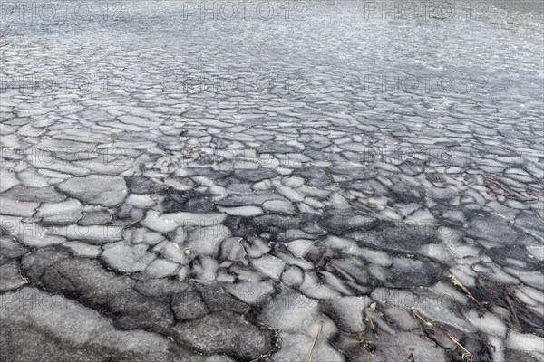 Winter, ice pattern formation, Chateauguay River, Province of Quebec, Canada, North America