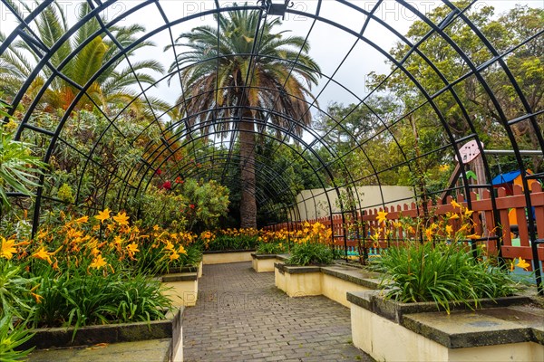 Beautiful path in a botanical garden, sustainable tourism concept in Arucas, Gran Canaria. Spain