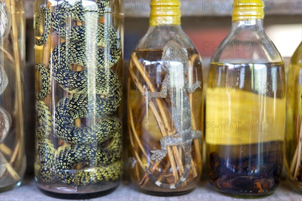 Choum, rice liquor, rice wine with pickled scorpions and snakes for sale, Laos, Asia