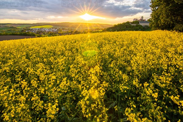 Landscape at sunrise. Beautiful morning landscape with fresh yellow rape fields in spring. Small castle in the yellow fields on a hill. Historic Ronneburg Castle in the middle of nature, Ronneburg, Hesse, Germany, Europe