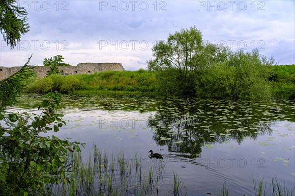 Kronoberg Castle Ruins (Kronobergs slottsruin), Vaexjoe, Smaland, Kronobergs laen, Sweden, Europe