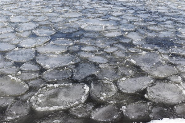 Winter, ice pattern formation, Chateauguay River, Province of Quebec, Canada, North America