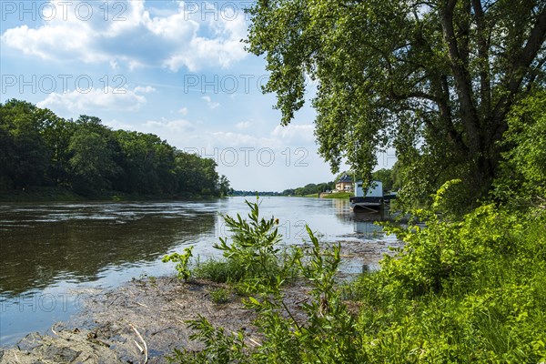 Landscape on the banks of the Elbe, Pillnitz steamer landing stage, Dresden, Saxony, Germany, Europe