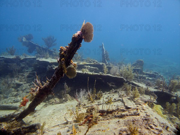 Wreck of the Benwood. Dive site John Pennekamp Coral Reef State Park, Key Largo, Florida Keys, Florida, USA, North America