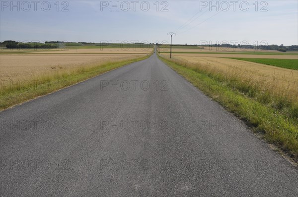 A tranquil countryside road stretches toward the horizon flanked by green and yellow fields under a clear sky