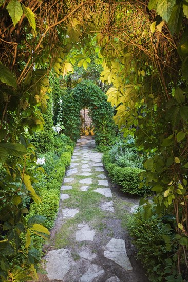 Grey flagstone path through arbours covered with illuminated climbing Vitis, Vines in backyard garden at dusk in summer, Quebec, Canada, North America