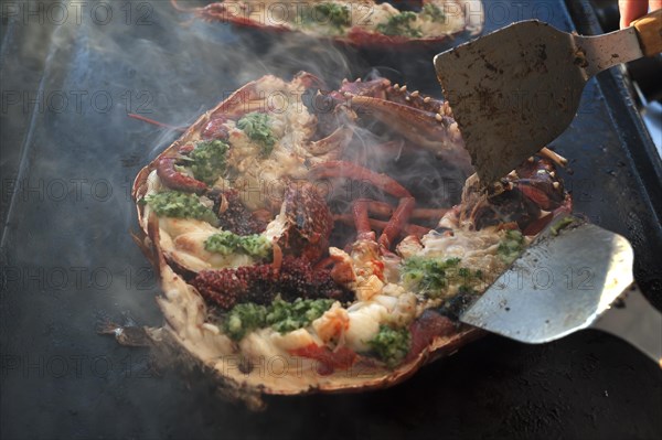 Cooked lobster (homarus) with caviar, vegetables and garlic butter on a plancha, Atlantic coast, Vandee, France, Europe