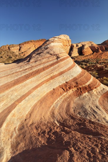 Fire Wave, Valley of Fire State Park, Nevada, United States, USA, Valley of Fire, Nevada, USA, North America