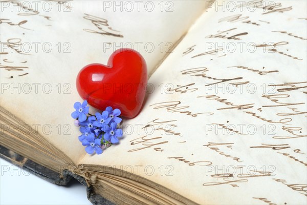 Red heart and forget-me-not flower on old diary