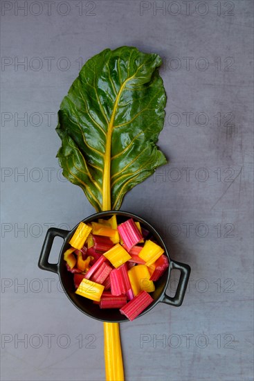 Chard, leaf and chopped stems in pots, Beta vulgaris