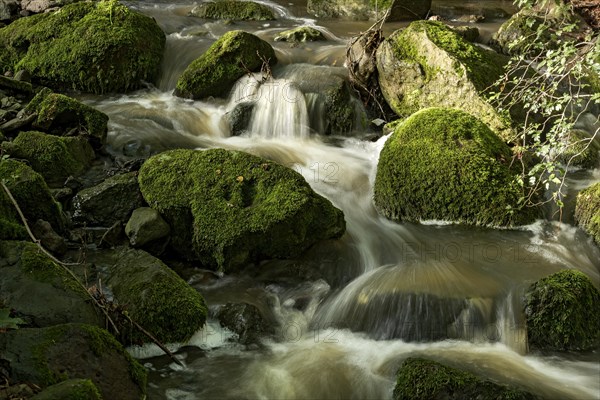 Mountain stream in the forest with mossy basalt rocks, blocks of basalt in the stream bed, Tertiary volcano, flowing water, motion blur, Krummbach, Vogelsberg Volcanic Region nature park Park, Nidda, Wetterau, Hesse, Germany, Europe