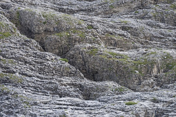 Gottesacker plateau, karst landscape, Kleinwalsertal, Vorarlberg, Allgaeu Alps, Austria, Europe