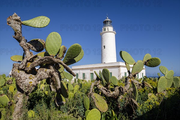 La Mola Lighthouse, Formentera, Pitiusas Islands, Balearic Community, Spain, Europe