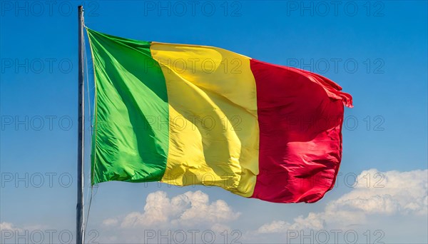 The flag of Mali, fluttering in the wind, isolated, against the blue sky