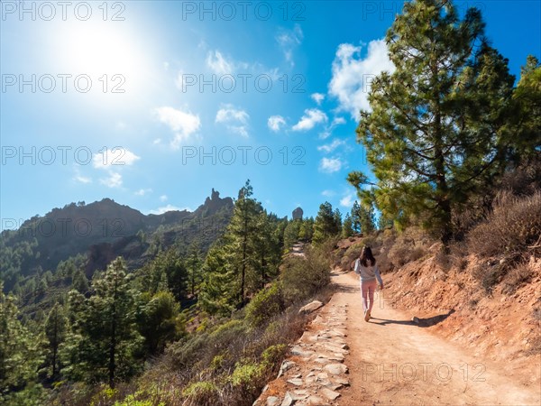 A woman is walking on a dirt path in a forest. The sky is blue and the sun is shining