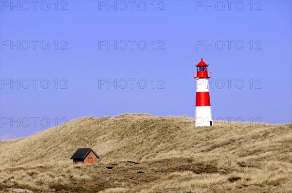 Sylt, Schleswig-Holstein, lighthouse at Ellenbogen, North Frisian island, Germany, Europe, red and white lighthouse stands in a dune landscape under a blue sky, Europe