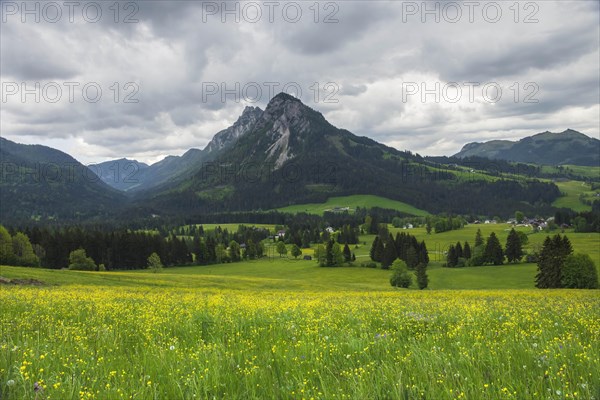 Summer austrian landscape with green meadows and impressive mountains, view from small alpine village Tauplitz, Styria region, Austria, Europe
