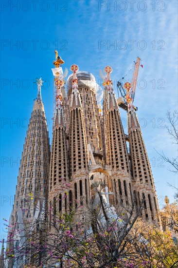Towers of the Sagrada Familia basilica under construction, Roman Catholic basilica by Antoni Gaudi in Barcelona, Spain, Europe