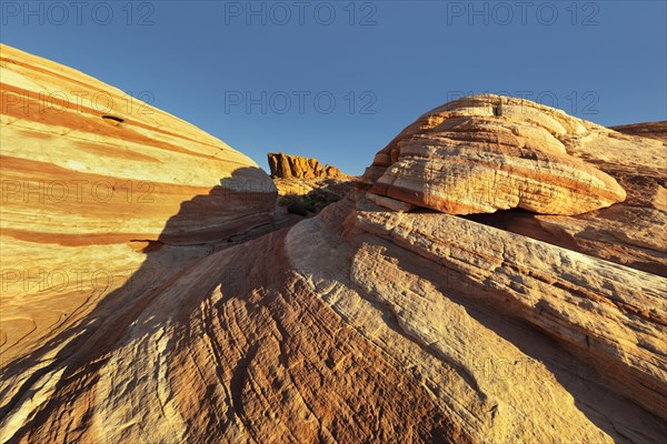 Fire Wave, Valley of Fire State Park, Nevada, United States, USA, Valley of Fire, Nevada, USA, North America