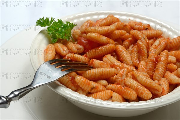 Malloreddus, Sardinian gnocchetti with tomato sauce in a plate, traditional pasta variety from Sardinia, Italy, Europe