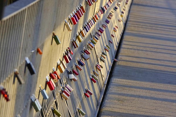 Love locks on a bridge, evening light, Germany, Europe