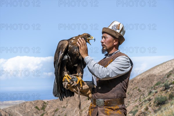 Traditional Kyrgyz eagle hunter with eagle in the mountains, hunting, near Bokonbayevo, Issyk Kul region, Kyrgyzstan, Asia