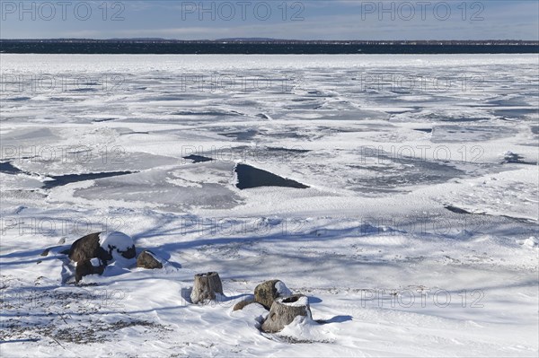 Winter, pack ice in the Saint Lawrence River, Province of Quebec, Canada, North America