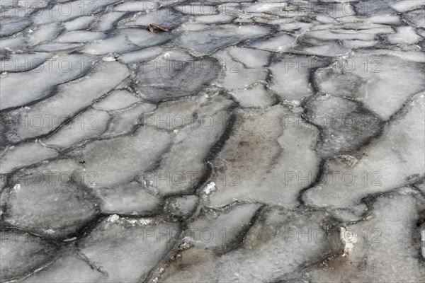 Winter, ice pattern formation, Chateauguay River, Province of Quebec, Canada, North America