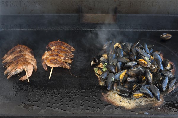 Mytilus (Mytilus edulis) are prepared on a gas barbecue on a plancha, left: prawns on a skewer, Vandee, France, Europe