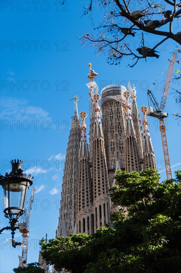 Towers of the Sagrada Familia basilica under construction, Roman Catholic basilica by Antoni Gaudi in Barcelona, Spain, Europe