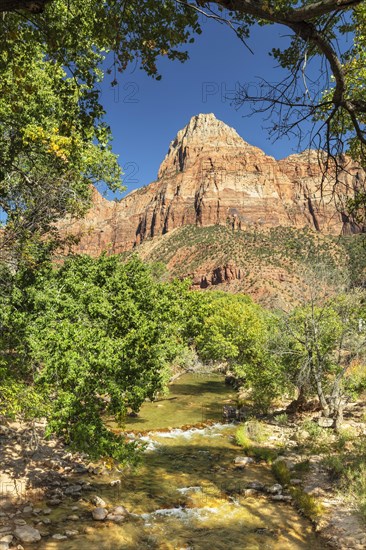 View from Virgin River to Watchman Mountain, Zion National Park, Colorado Plateau, Utah, USA, Zion National Park, Utah, USA, North America