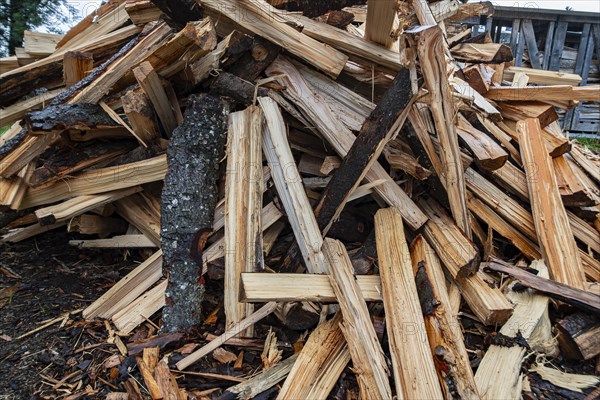 A pile of logs, freshly split firewood